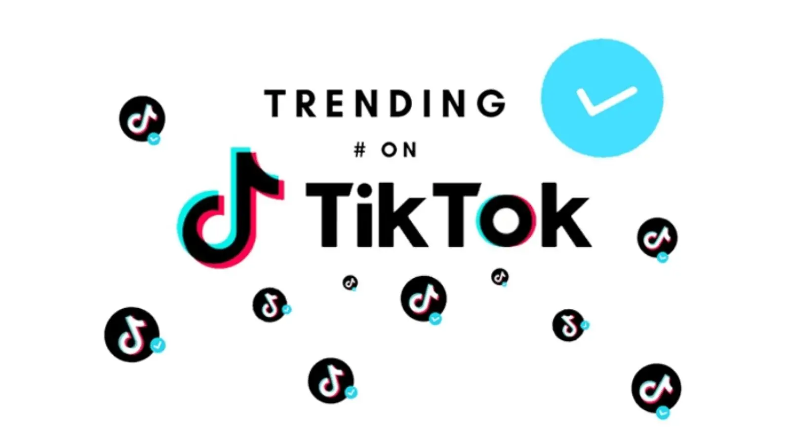 Case Study thành công