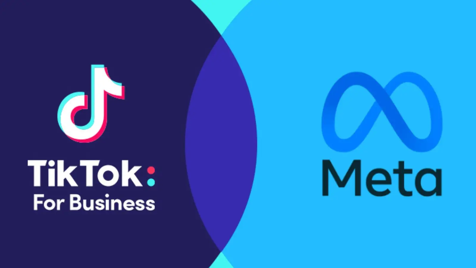 Meta Verified vs TikTok Verified: Bảng So Sánh Nhanh